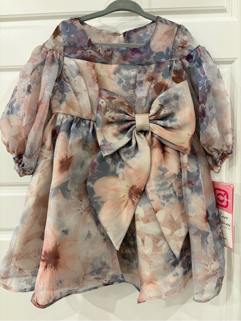 NWT Rare Editions Little Girls Balloon Sleeve Floral Organza Dress, Taupe3/3T